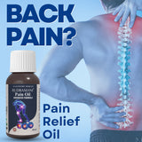 Rudramani Ayurvedic Strong Pain Oil for Joints Pain Liquid  (50 ml)