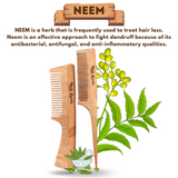 KeshBindu Handmade Neem Wooden Comb for Men & Women. Includes 2-piece set | Handle Comb + Tail Comb.