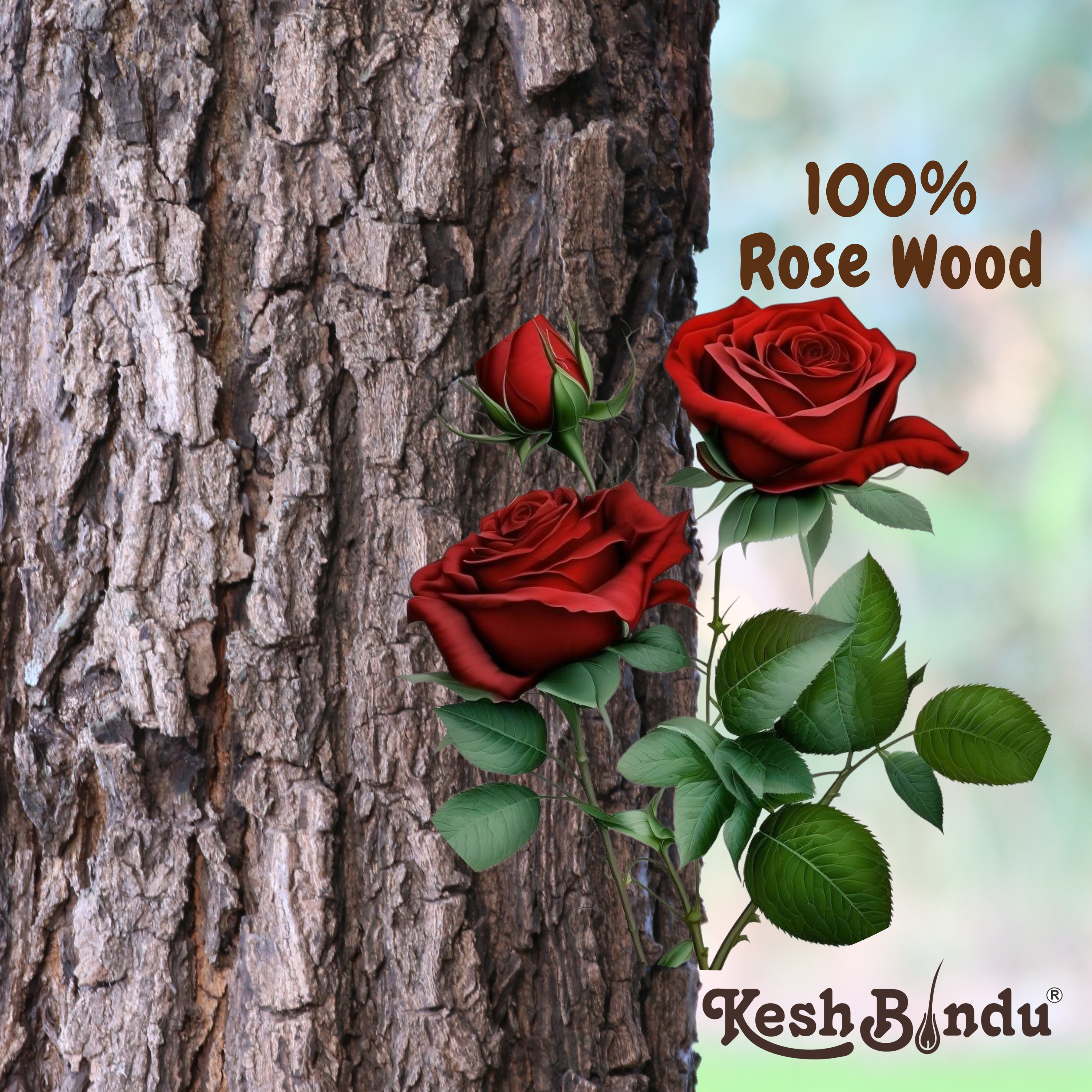 KeshBindu Rose sheesham Broad Wooden Comb For Men & Women, Suited For All Hair Types Kangi (Wide Rosewood Comb)