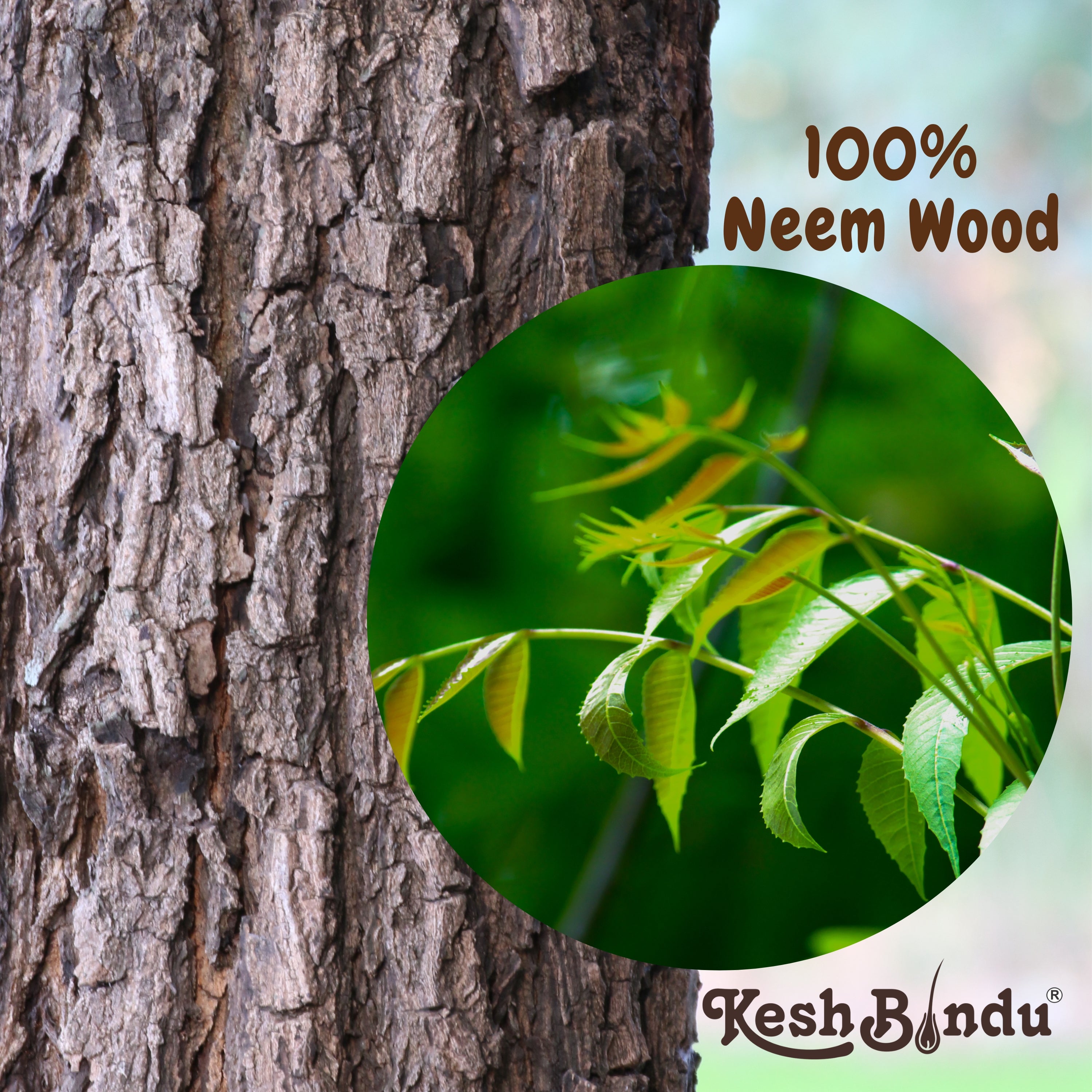 KeshBindu Neem Wooden Comb For Men & Women Detangling, Suited For All Hair Diffrent Type of Kangi Combo Pack 4pis (Handle + Wide Tooth + Tel + Dual Tooth)