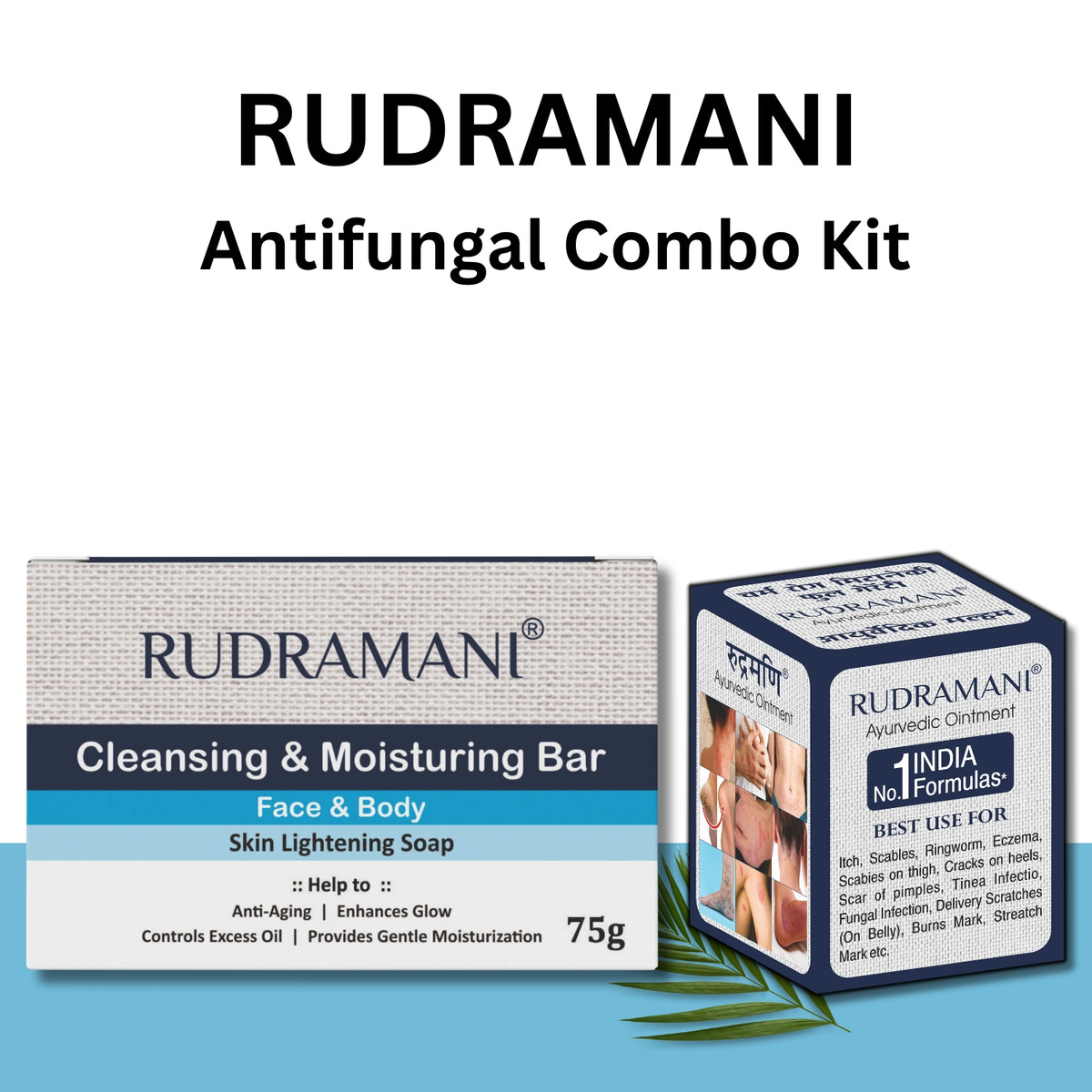 RUDRAMANI Ayurvedic Skin Care Combo – Herbal Ointment + Skin Lightening Soap for Glowing Skin, Pimples, Eczema, Scars, Fungal Infections & Oil Control – Natural Face & Body Care